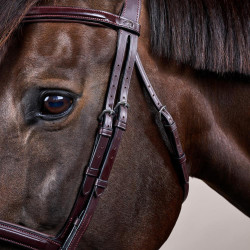 Bridon Muserolle Combinée Dy'on New English Collection Marron