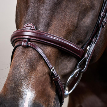 Bridon Muserolle Combinée Dy'on New English Collection Marron