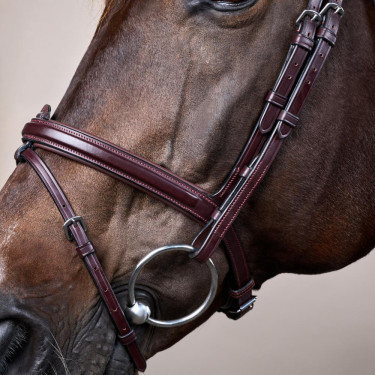 Bridon Muserolle Combinée Dy'on New English Collection Marron