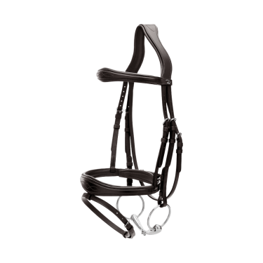 Bridon Muserolle Combinée Anatomique Dy'on New English Collection Noir