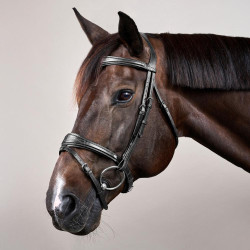 Bridon Muserolle Combinée Anatomique Dy'on New English Collection Noir