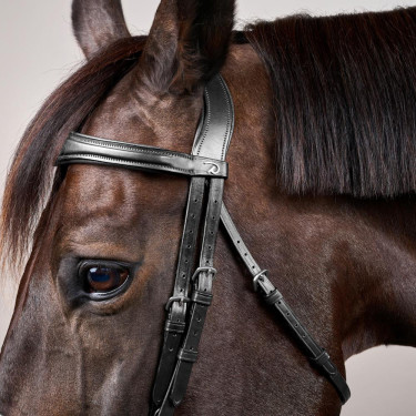 Bridon Muserolle Combinée Anatomique Dy'on New English Collection Noir