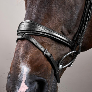 Bridon Muserolle Combinée Anatomique Dy'on New English Collection Noir