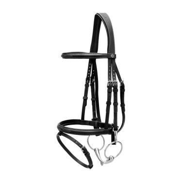 Bridon Muserolle Combinée avec Montants à Mousquetons Working by Dy'on Noir