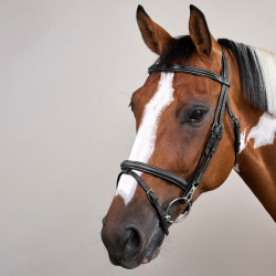 Bridon Muserolle Combinée avec Montants à Mousquetons Working by Dy'on Noir
