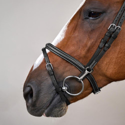 Bridon Muserolle Combinée avec Montants à Mousquetons Working by Dy'on Noir