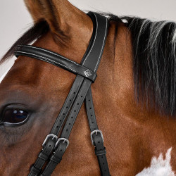 Bridon Muserolle Combinée avec Montants à Mousquetons Working by Dy'on Noir