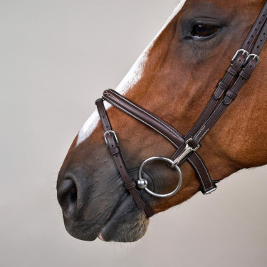 Bridon Muserolle Combinée avec Montants à Mousquetons Working by Dy'on Marron