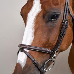 Bridon Muserolle Combinée avec Montants à Mousquetons Working by Dy'on Marron