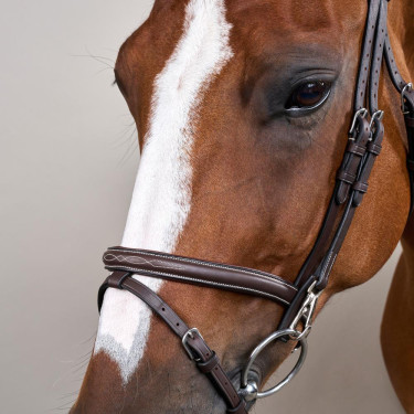 Bridon Muserolle Combinée avec Montants à Mousquetons Working by Dy'on Marron