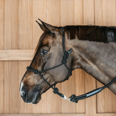 Licol éthologique Dy'on Noir