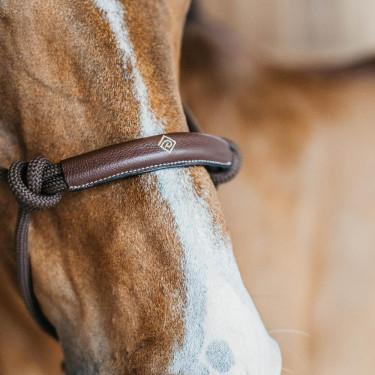 Licol éthologique Dy'on Marron Licol éthologique Dy'on Marron