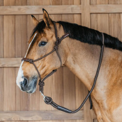 Licol éthologique Dy'on Marron Licol éthologique Dy'on Marron