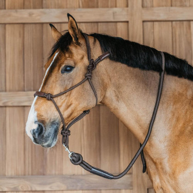 Licol éthologique Dy'on Marron Licol éthologique Dy'on Marron