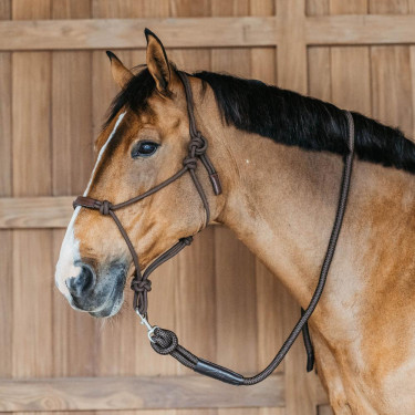 Longe Dy'on avec mousqueton Marron