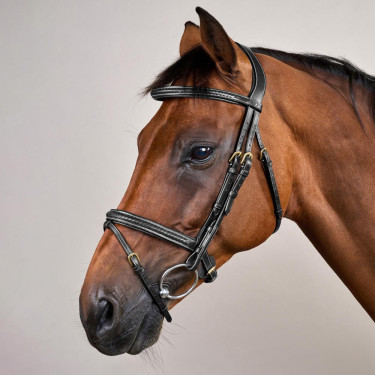 Bridon Dy'on D collection muserolle combinée tréssé Noir