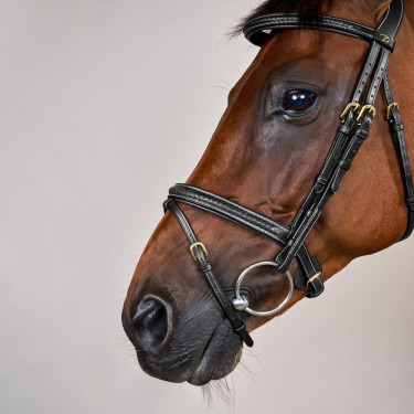 Bridon Dy'on D collection muserolle combinée tréssé Noir