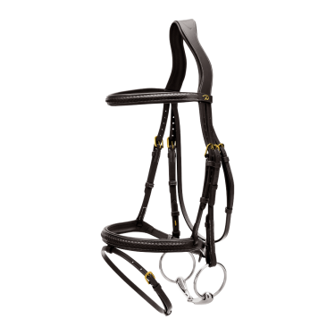 Bridon Dy'on D collection muserolle combinée tréssé Noir