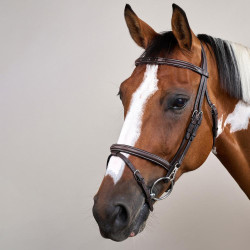 Bridon Working by Dy'on muserolle combinée avec mousquetons Marron