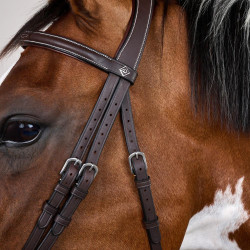 Bridon Working by Dy'on muserolle combinée avec mousquetons Marron