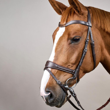 Bridon Working by Dy'on avec liberté de mouvement Marron Bridon Working by Dy'on avec liberté de mouvement Marron