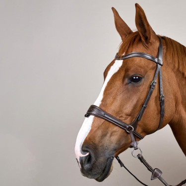 Bridon Working by Dy'on avec liberté de mouvement Marron Bridon Working by Dy'on avec liberté de mouvement Marron