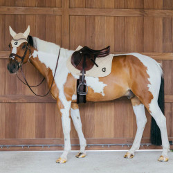 Tapis de selle Kentucky Wave Jumping Beige