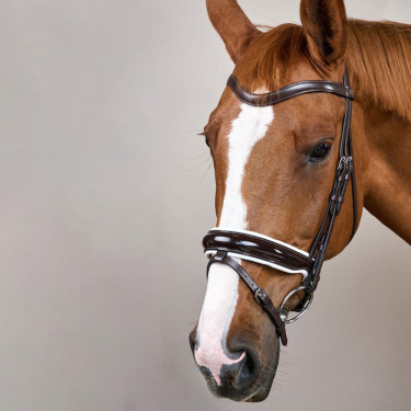 Bridon Working by Dy'on Muserolle Combinée Large Vernie Doublure Blanche Brun Marron