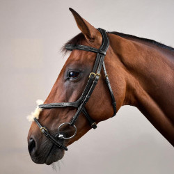 Bridon Muserolle Croisée Tressée D Collection Dy'on