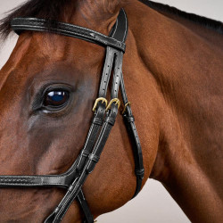 Bridon Muserolle Croisée Tressée D Collection Dy'on