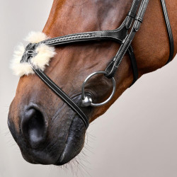 Bridon Muserolle Croisée Tressée D Collection Dy'on