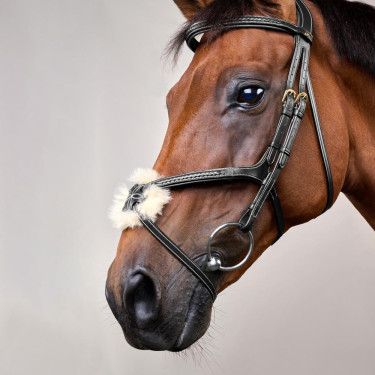 Bridon Muserolle Croisée Tressée D Collection Dy'on