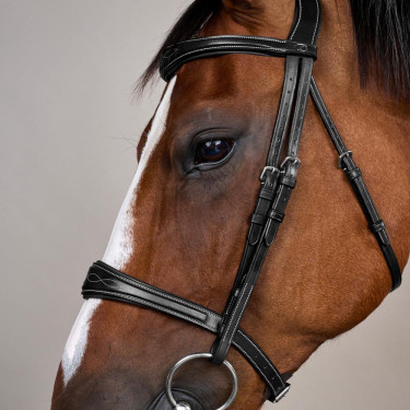 Muserolle Anatomique sans Sous Barbe Collection US Jumping Dy'on Noir