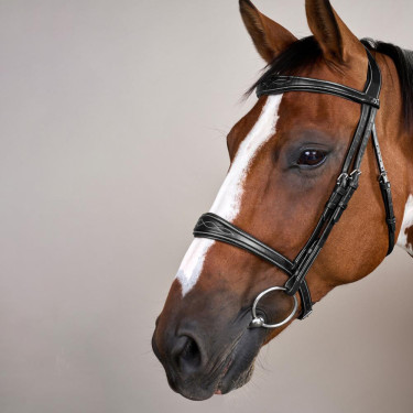 Muserolle Anatomique sans Sous Barbe Collection US Jumping Dy'on Noir