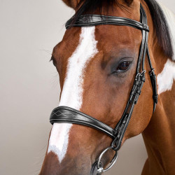 Muserolle Anatomique sans Sous Barbe Collection US Jumping Dy'on Noir