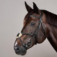 Bridon Muserolle Croisée Tressée New English Collection Dy'on Noir Bridon Muserolle Croisée Tressée New English Collection Dy'on Noir