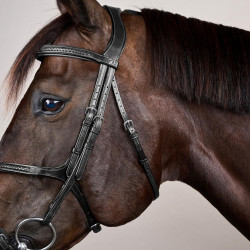 Bridon Muserolle Croisée Tressée New English Collection Dy'on