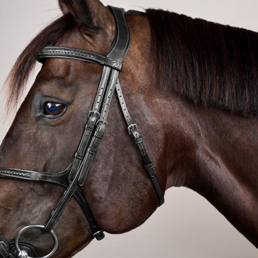 Bridon Muserolle Croisée Tressée New English Collection Dy'on