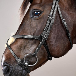 Bridon Muserolle Croisée Tressée New English Collection Dy'on