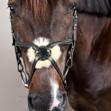 Bridon Muserolle Croisée Tressée New English Collection Dy'on