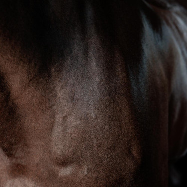 Gel super brillant Grooming Deluxe by Kentucky Gel super brillant Grooming Deluxe by Kentucky