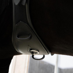 Sangle Courte Anatomique Kentucky