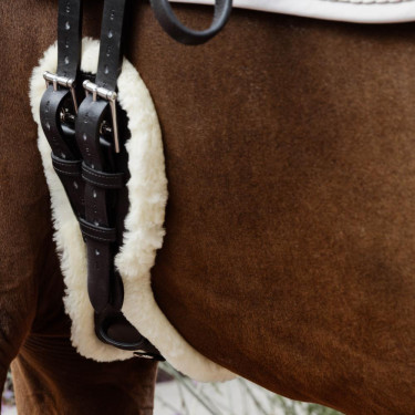 Sangle Courte Anatomique mouton Kentucky