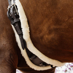 Sangle Courte Anatomique mouton Kentucky