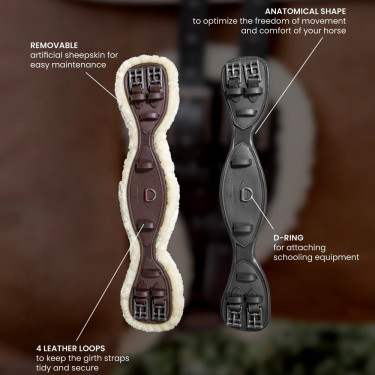 Sangle Courte Anatomique mouton Kentucky