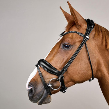 Bridon Working by Dy'on ComfoHead Bridon Working by Dy'on ComfoHead