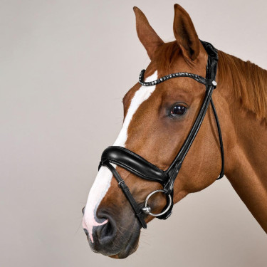 Bridon Working by Dy'on ComfoHead Bridon Working by Dy'on ComfoHead