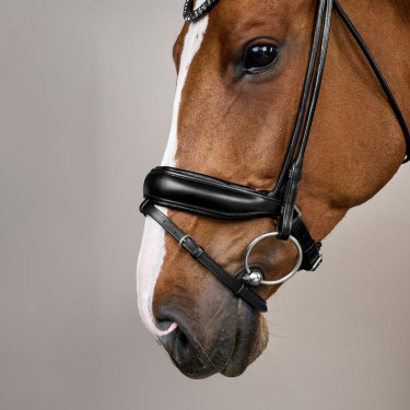 Bridon Working by Dy'on ComfoHead Bridon Working by Dy'on ComfoHead