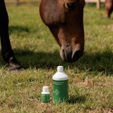 Vitamin & Mineral Liquid Booster Grooming Deluxe by Kentucky