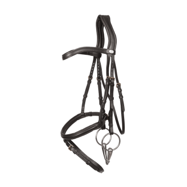 Bridon Muserolle Combinée Dy'on en Cuir Souple Noir